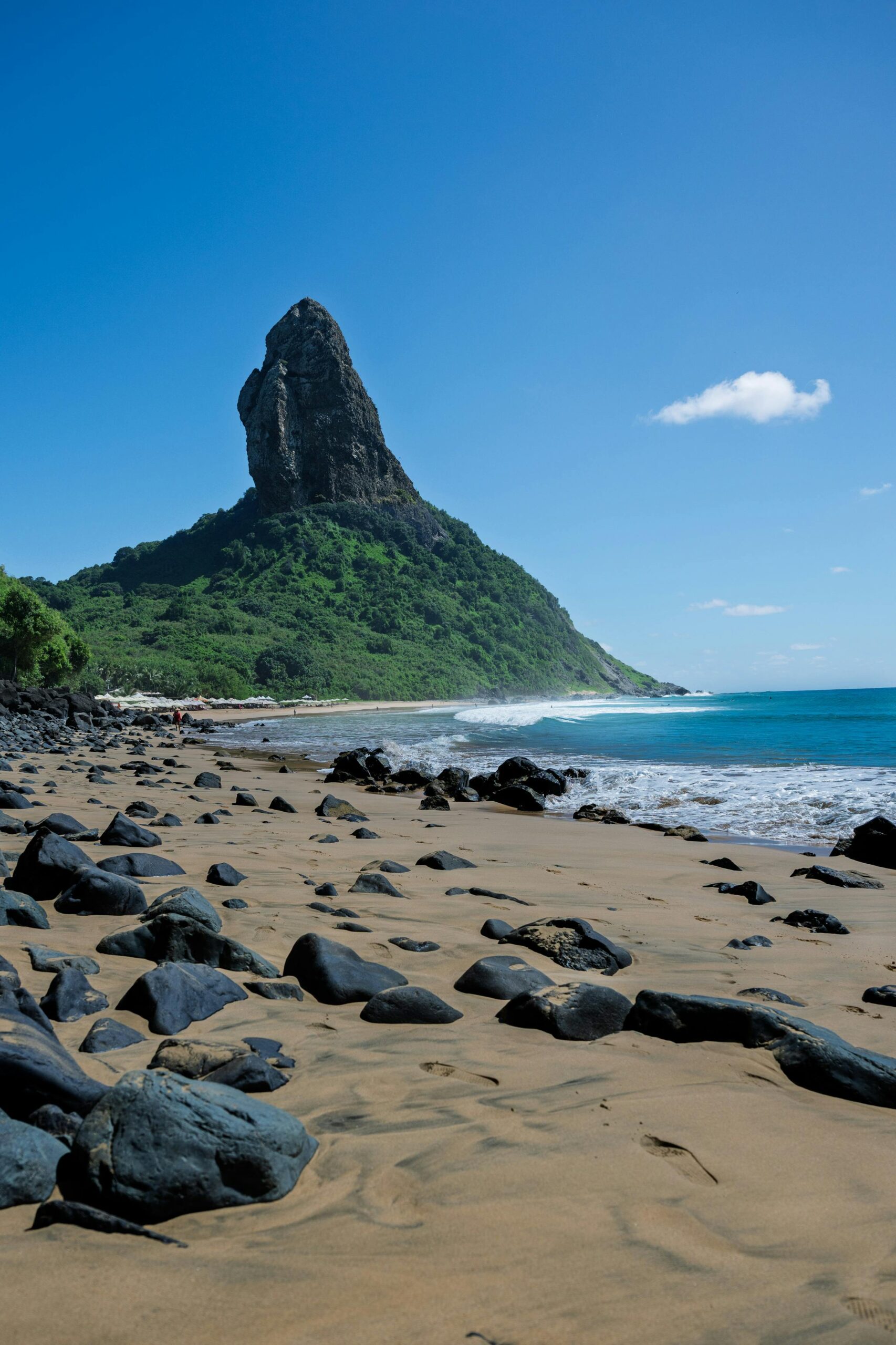 Sustentabilidade em Alta